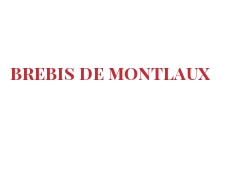 Cheeses of the world - Brebis de Montlaux